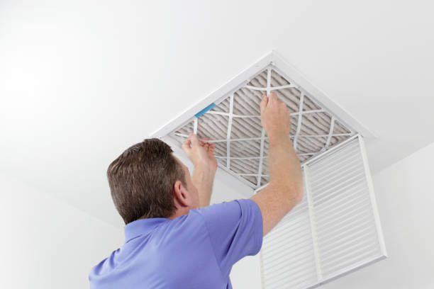 Air Duct Mold Removal in MI